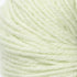 Mint (120)X