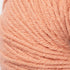 Peach (103)X